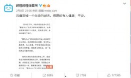 最新爆料宋晨宇,揭秘背后惊人真相