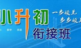 武汉小升初最新爆料新闻